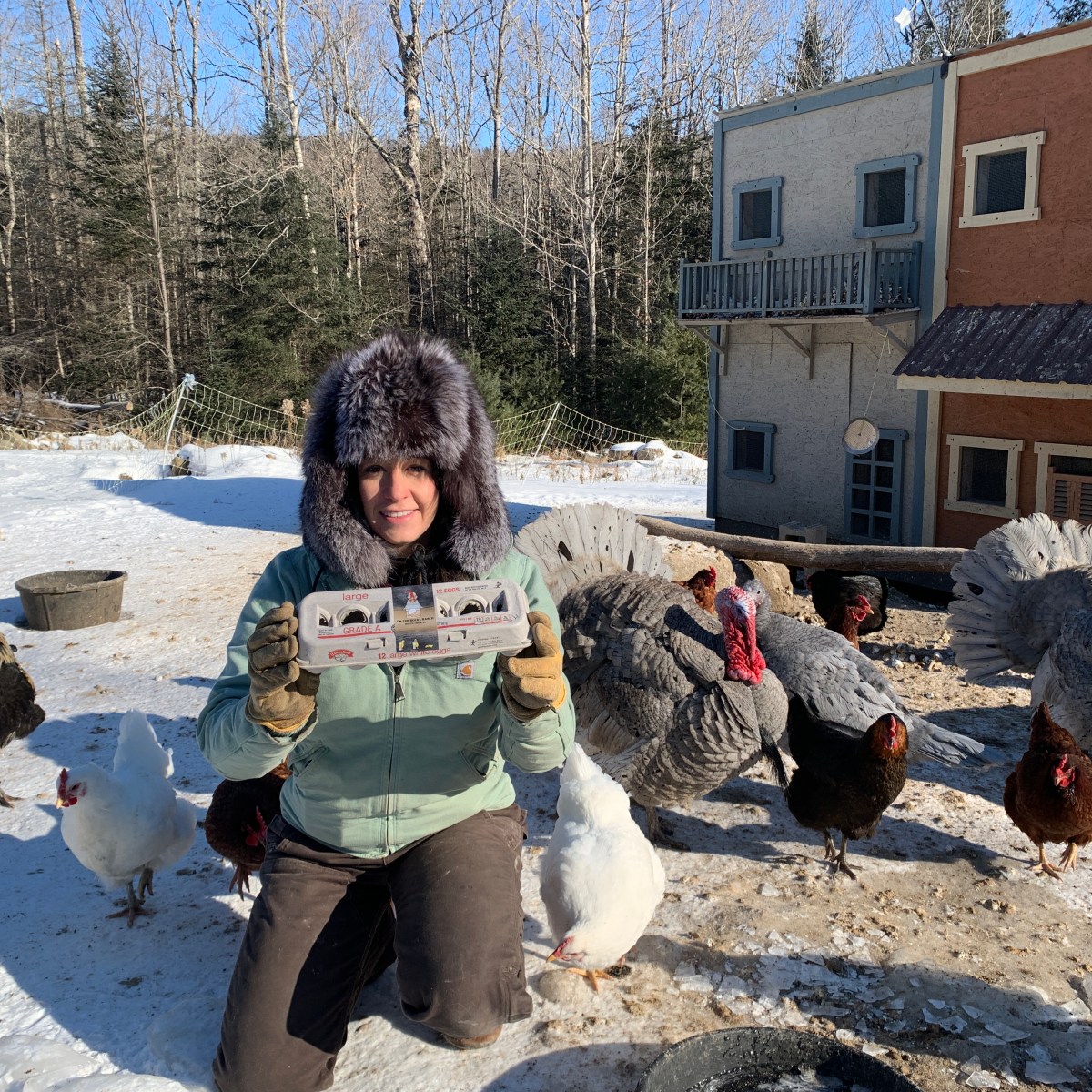 Design Internship-Winter 2022